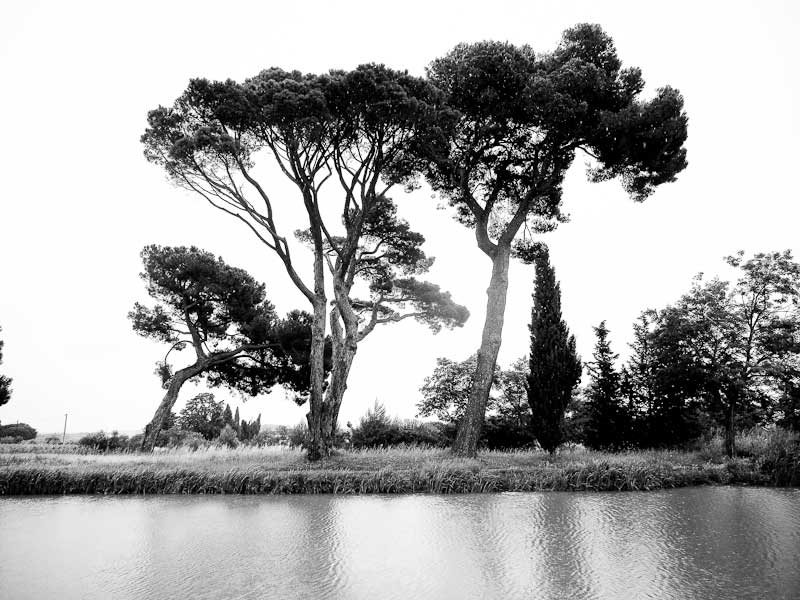 canal-du-midi-les-pins
