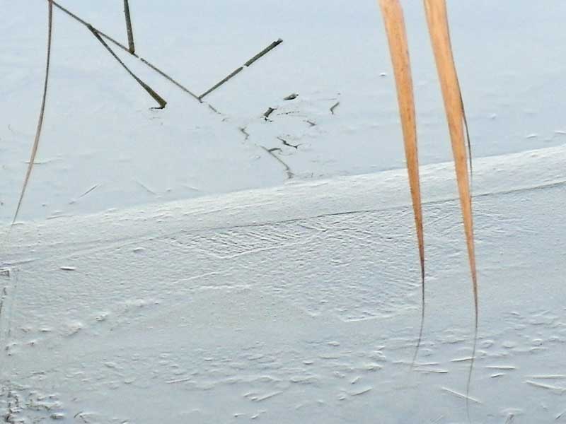 eis-1