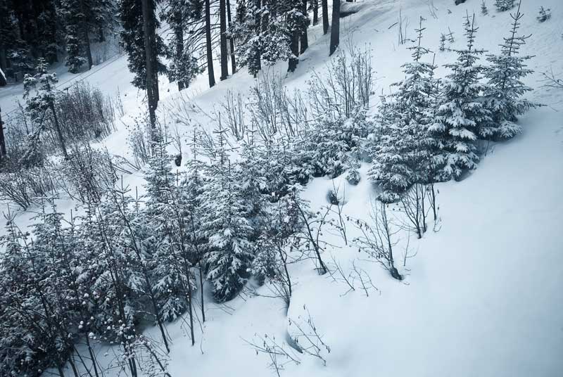 erster-schnee