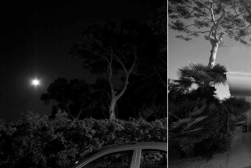 night-and-day