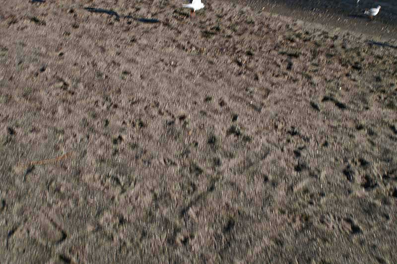 sand