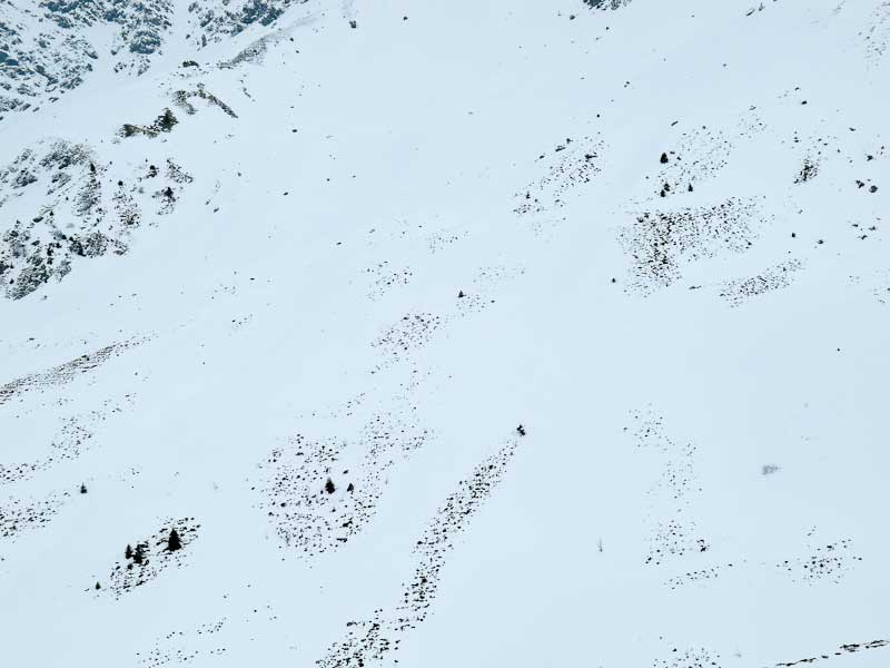 schnee-1