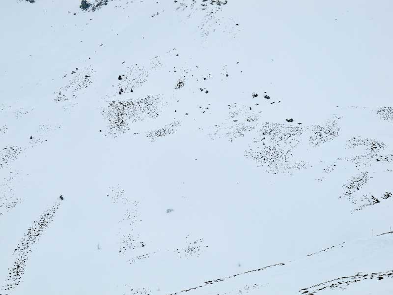 schnee-2