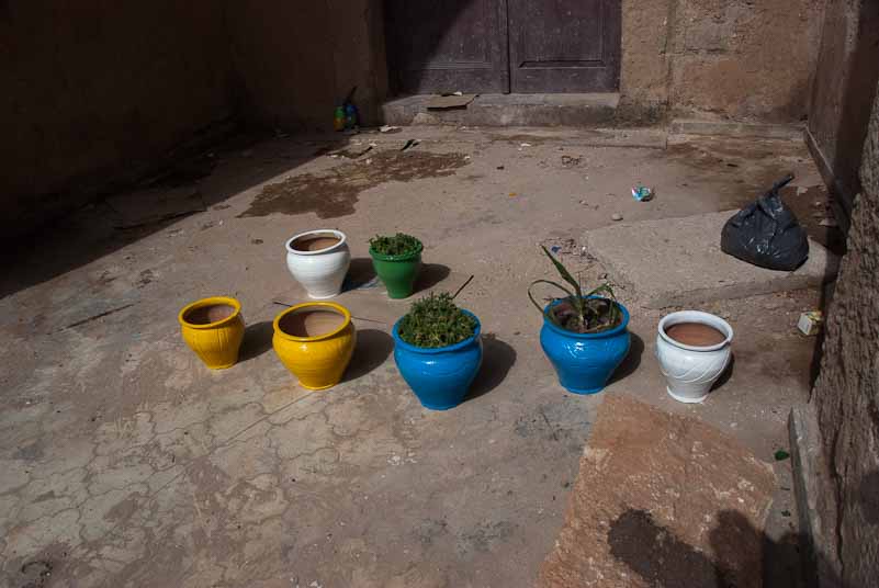 small_garden
