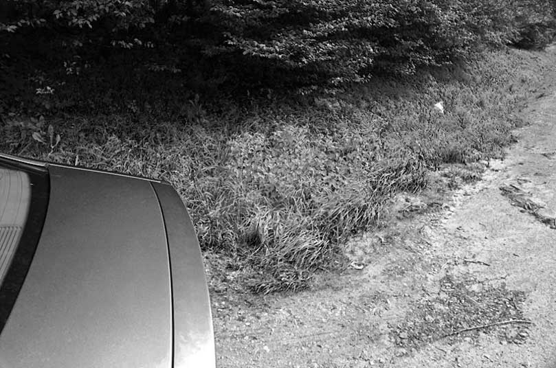 am waldrand